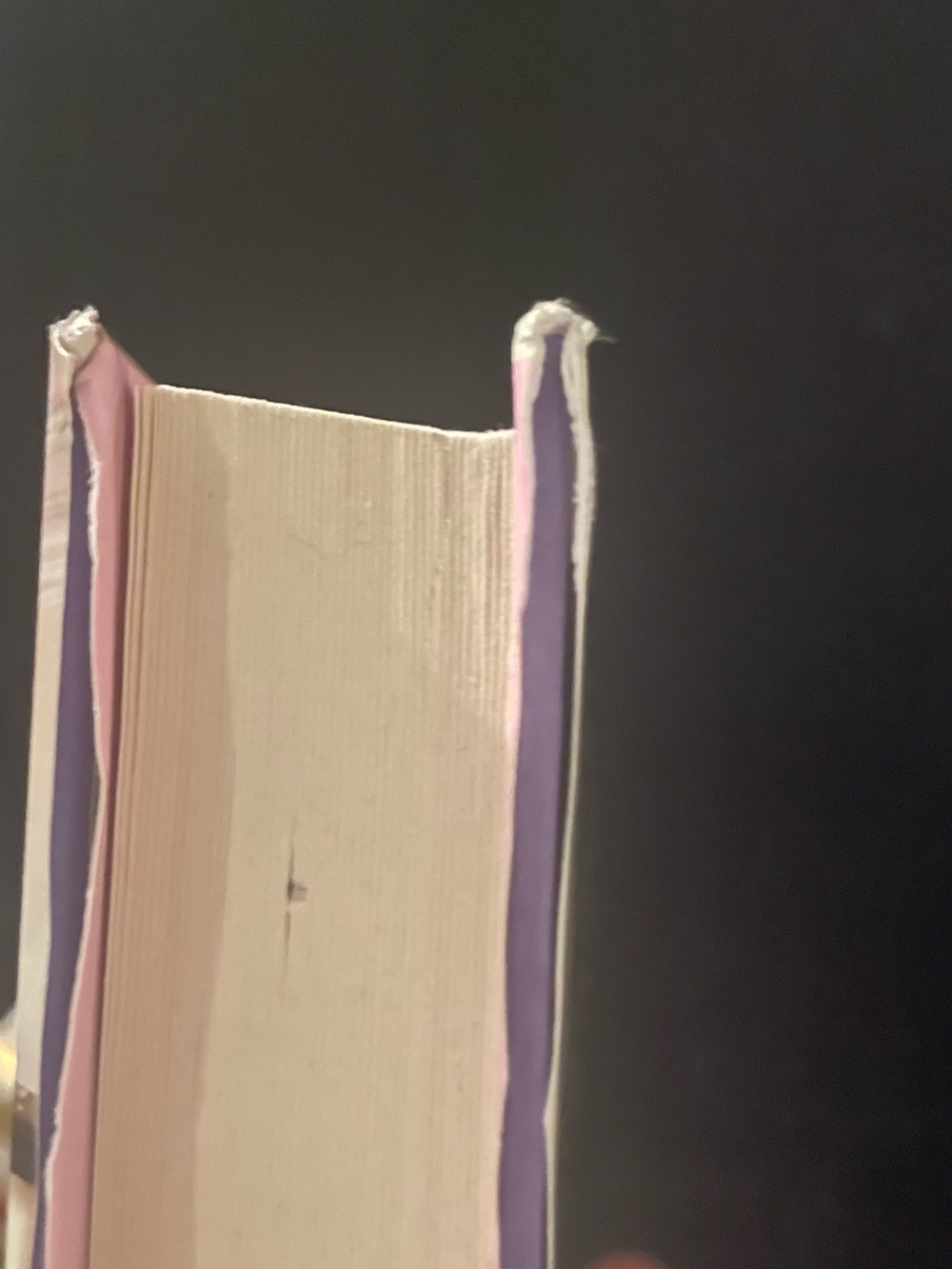 Always and Forever, Lara Jean by Jenny Han - Picture 3 of 5